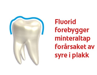 Fluorid forebygger minteraltap forarsaket av syre i plakk