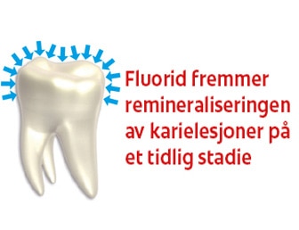 Fluorid fremmer remineraliseringen av karielesjoner pa et tidlig stadie