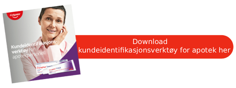bilde - Last ned PDF-filen