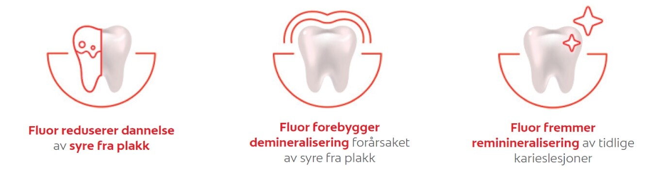 Graf - Jo høyere fluorkonsentrasjon, desto større reduksjon i karies.