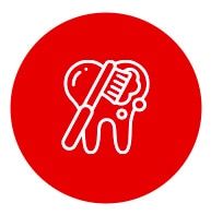 Børst tennene dine nøye