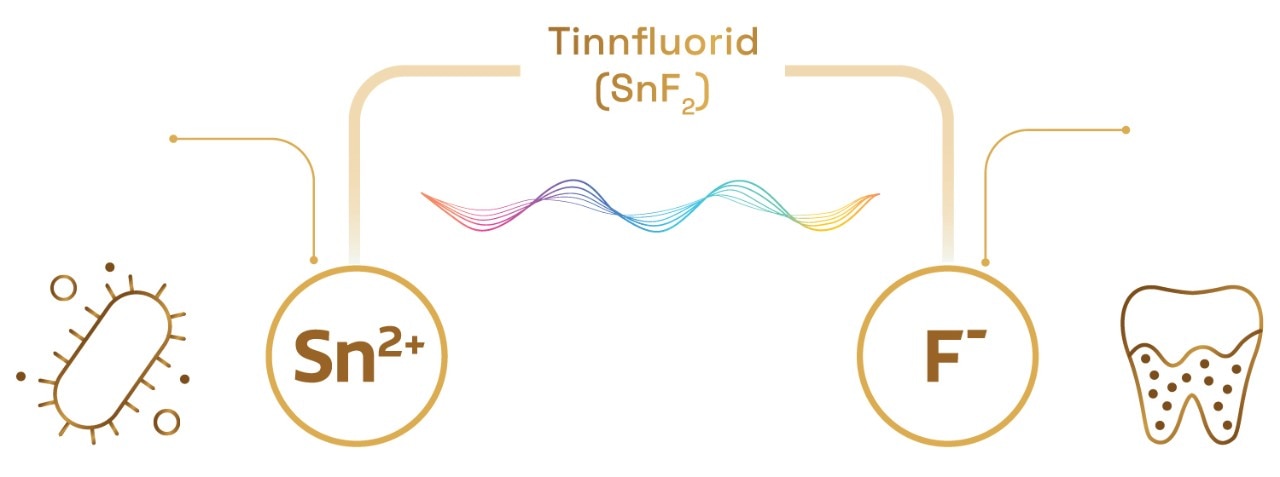 Hvorfor tinfl uorid?